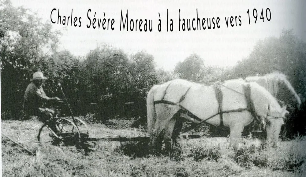 Charles Sévère Moreau à la faucheuse, vers 1940