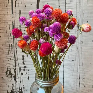Faire sécher ses fleurs